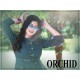 ORCHID