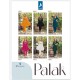 PALAK BY KAYA KURTI