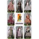 master kurti Colours