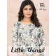 BLUE HILLS Little things vol 10