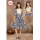 DT DEVI KURTI RANG VOL 2 KURTI  D.NO 8650